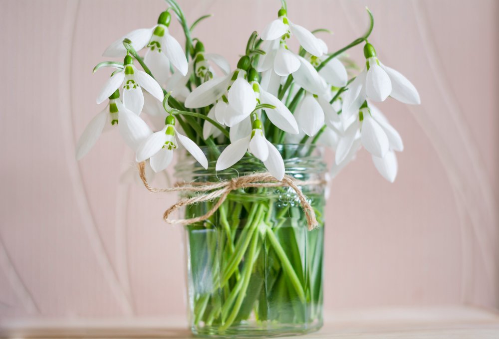 Lirios blancos en un jarrón