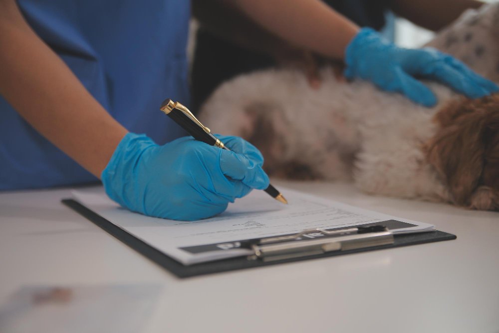 Notas de emergencia veterinaria